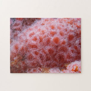Sea Anenome, Pastel Pink Jigsaw Puzzle