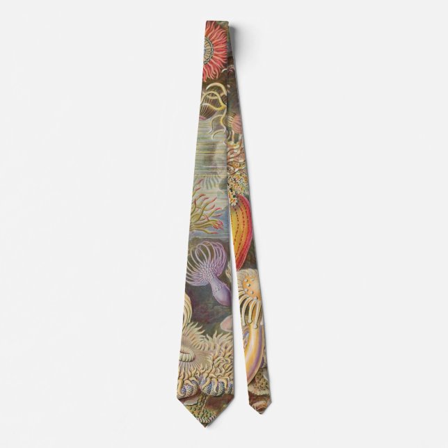 Sea Anenomes by Ernst Haeckel Tie (Front)