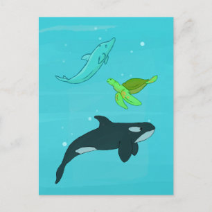 Sea Animals Postcard