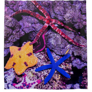 Sea Animals Shower Curtain