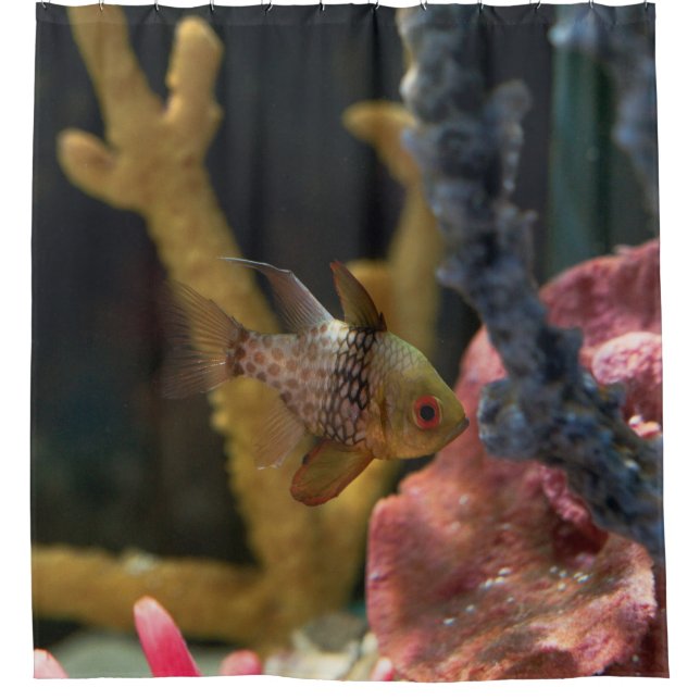 Sea Animals Shower Curtain (Front)