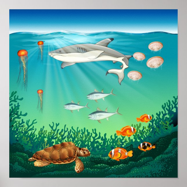 Sea animals swimming under the sea poster (Front)