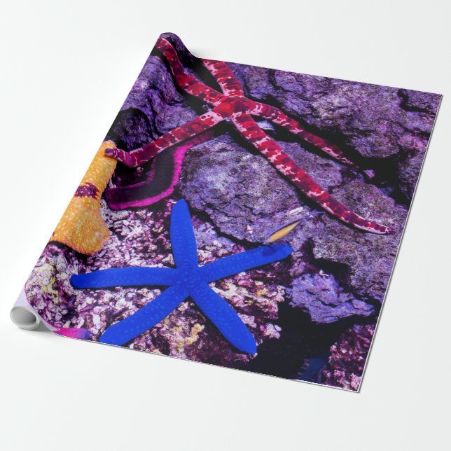Sea Animals Wrapping Paper (Unrolled)
