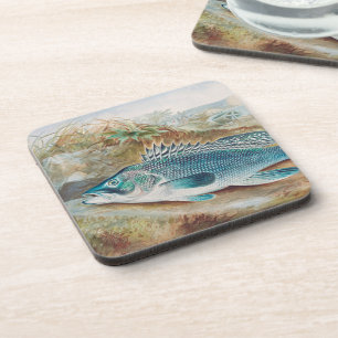 Sea Bass by S.A. Kilbourne, Vintage Fish Coaster