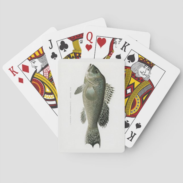 Sea Bass Fish Playing Cards (Back)