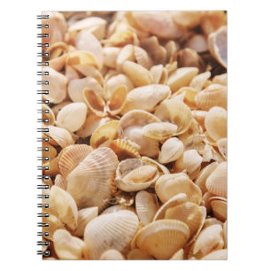 Sea Beach Shell: Summer Textured Background Notebook