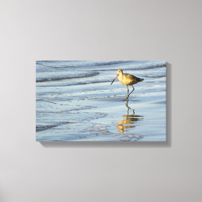 Sea Bird 3 Canvas Print (Front)