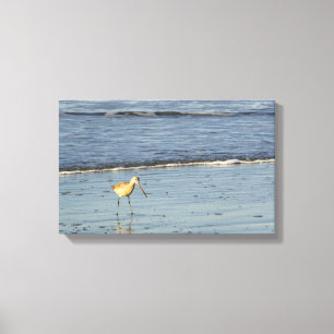 Sea Bird 4 Canvas Print