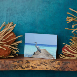 Sea Bird Art Decor Plaque