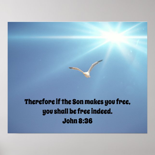 Sea Bird Flying Free in Sun Bible Scripture Poster (Front)