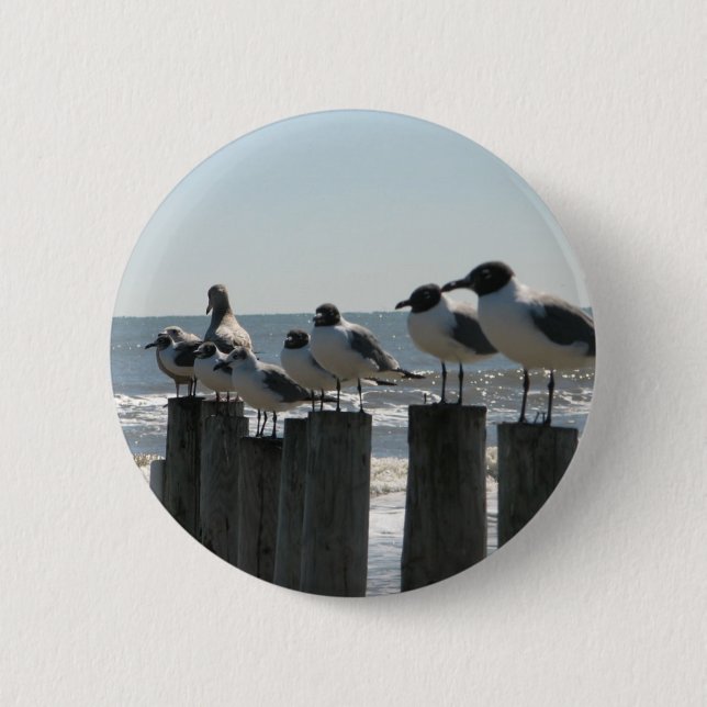 SEA BIRDS 6 CM ROUND BADGE (Front)