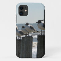 SEA BIRDS