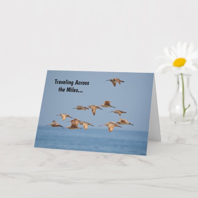 Sea Birds Flying Nice Pun Birthday Card (Small Plant)
