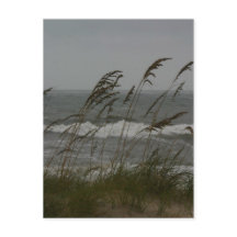 Sea Breeze