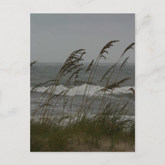 Sea Breeze Postcard (Front)