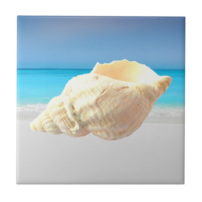 Sea caracol & ocean tile (Front)