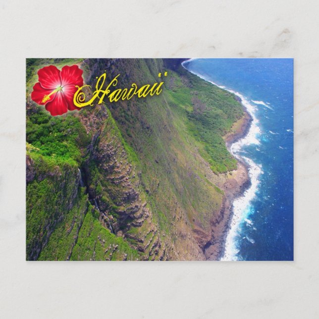 Sea Cliffs in Molokai, Hawaii Postcard (Front)