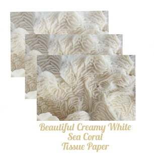 Sea Coral Beautiful Creamy White Photographic Tissue Paper