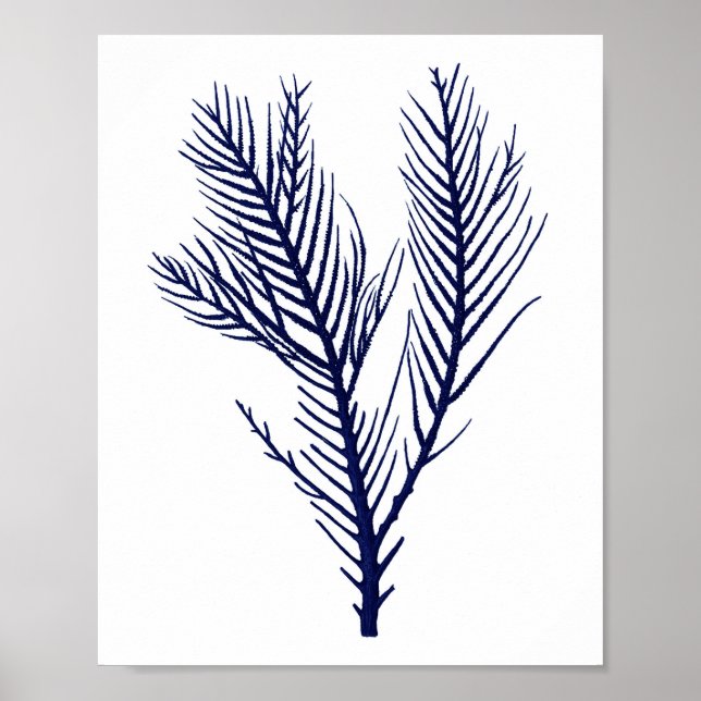 Sea Coral Navy Blue Beach Wall Decor (Front)