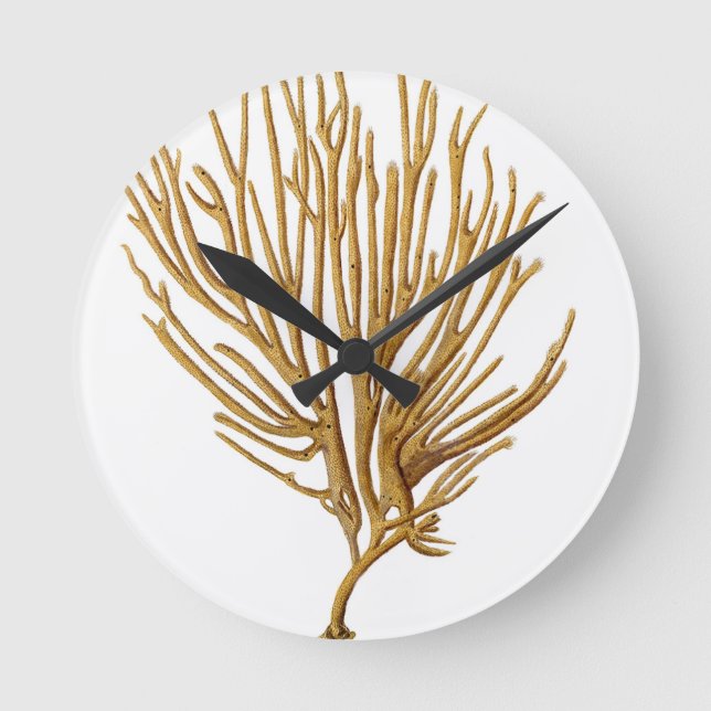 Sea Coral No. 12 Beach coastal nautical themed Round Clock (Front)
