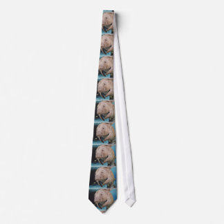Sea Cow Swimming Tie