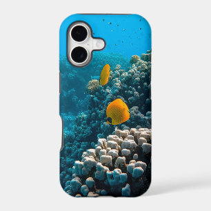 Sea Creatures