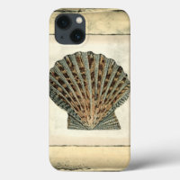 Sea Creatures by the Shore
