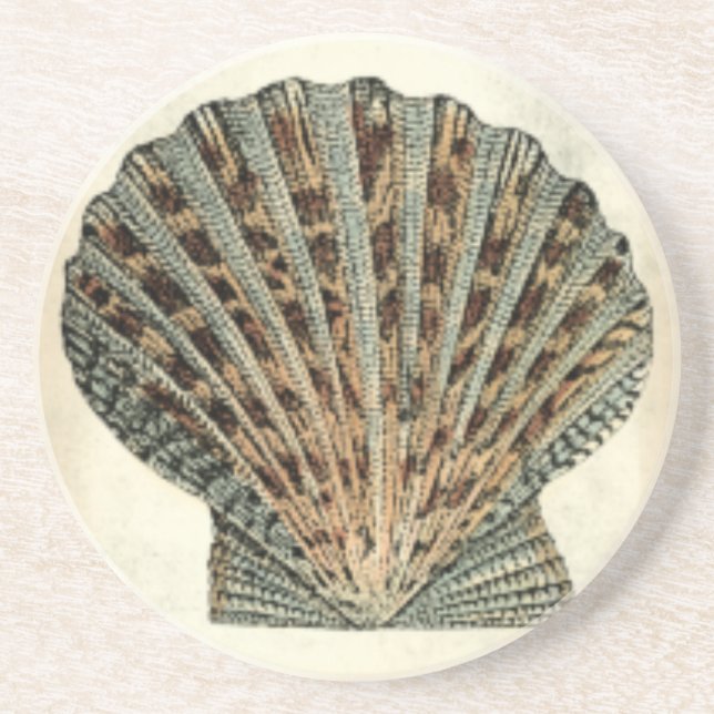 Sea Creatures by the Shore Coaster (Front)