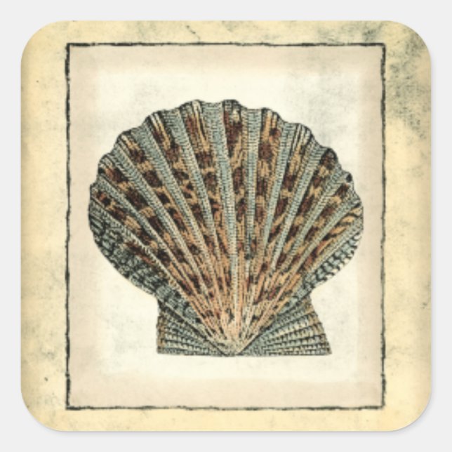 Sea Creatures by the Shore Square Sticker (Front)