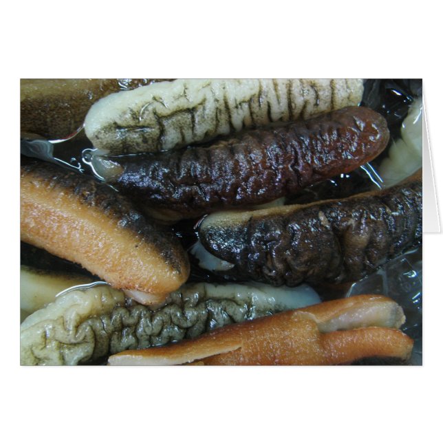 Sea Cucumber ... Yaowarat Market Food Card (Front Horizontal)