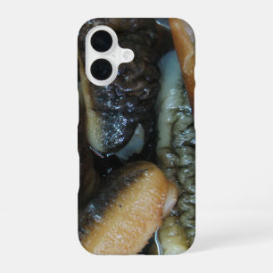 Sea Cucumber ... Yaowarat Market Food iPhone 16 Case