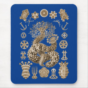 Sea Cucumbers Mouse Pad