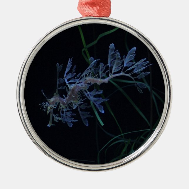 Sea Dragon Metal Tree Decoration (Front)