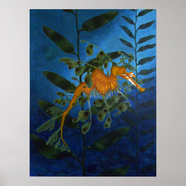 Sea Dragon Poster (Front)