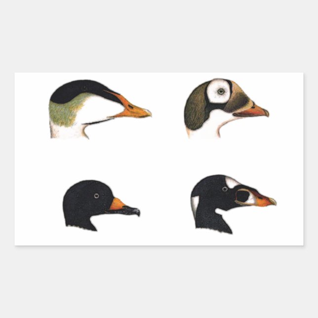 Sea Ducks Logo Rectangular Sticker (Front)