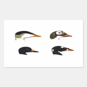 Sea Ducks Logo Rectangular Sticker