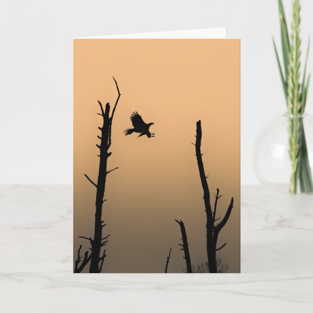 Sea Eagle Wildlife Photo Card (Front)