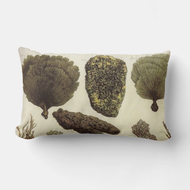 Sea Fan Nautical Design Sea Life Lumbar Pillow (Front)