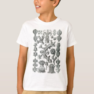 Sea fans T-Shirt