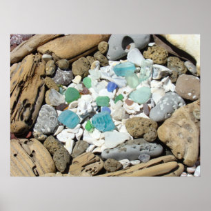 Sea Glass posters Beach Sea Shells Fossils Beach