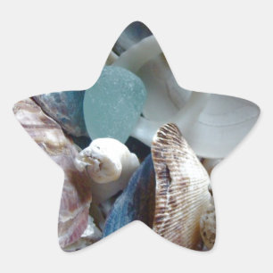 Sea Glass Shell Collected Star Sticker