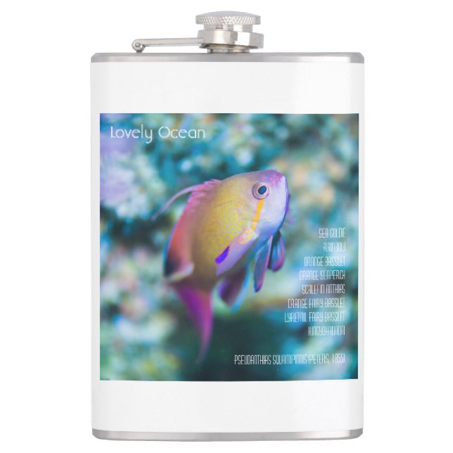 Sea goldie, colourful cute fish hip flask (Front)