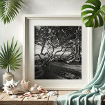 Sea Grapes Black and White Beach Pictures Poster<br><div class="desc">Enhance your living space with the tranquil beauty of Jupiter Beach, Florida, captured in this stunning wall art by Victoria Grigaliunas. This black and white photography poster showcases the intricate details of sea grapes, bringing a touch of coastal elegance to your home decor. Perfect for nature lovers and art enthusiasts...</div>