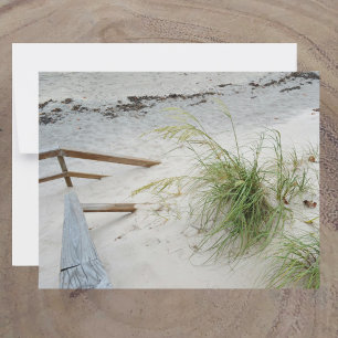 Sea Grass and White Sand Dune Beach Photographic Card