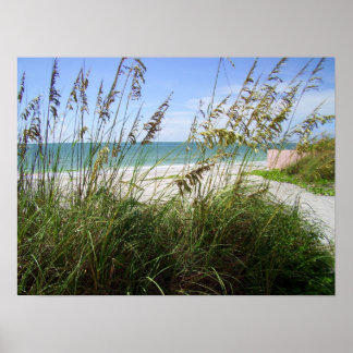 Sea Grasses Poster