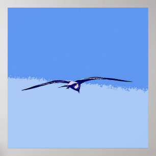 Sea Gull In Flight Poster