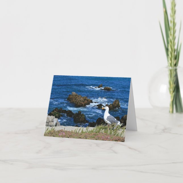 Sea Gull on Pacific Coast, Blank Note Card (Front)