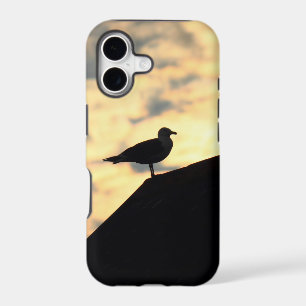 Sea Gull Sunset