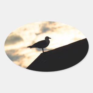 Sea Gull Sunset Oval Sticker