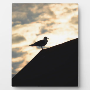 Sea Gull Sunset Plaque